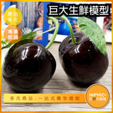 INPHIC-巨大生鮮食品模型 蔬果 海鮮 螃蟹 龍蝦-MFP002104B